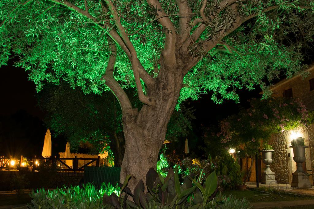 Finca Son Olive Selva  Esterno foto