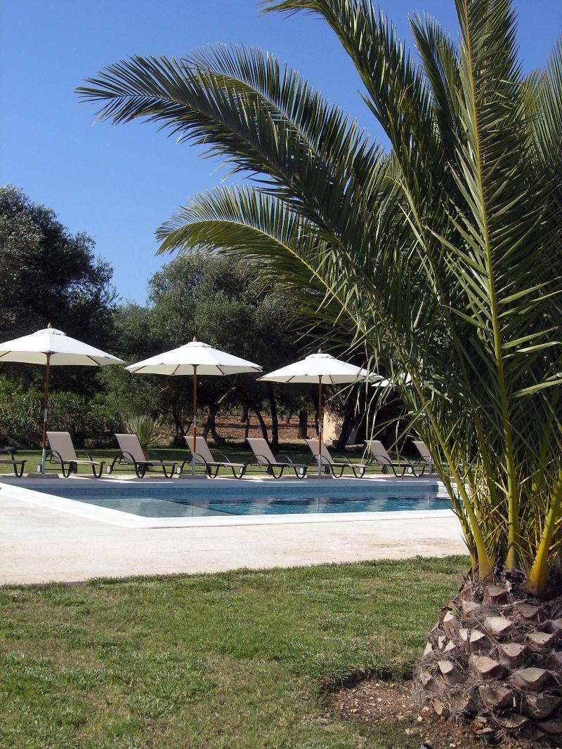 Finca Son Olive Selva  Esterno foto